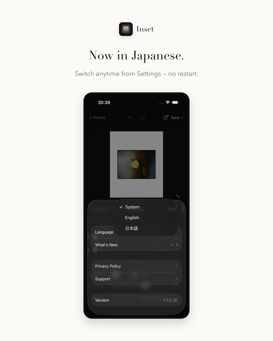 Inset 1.1.0 1