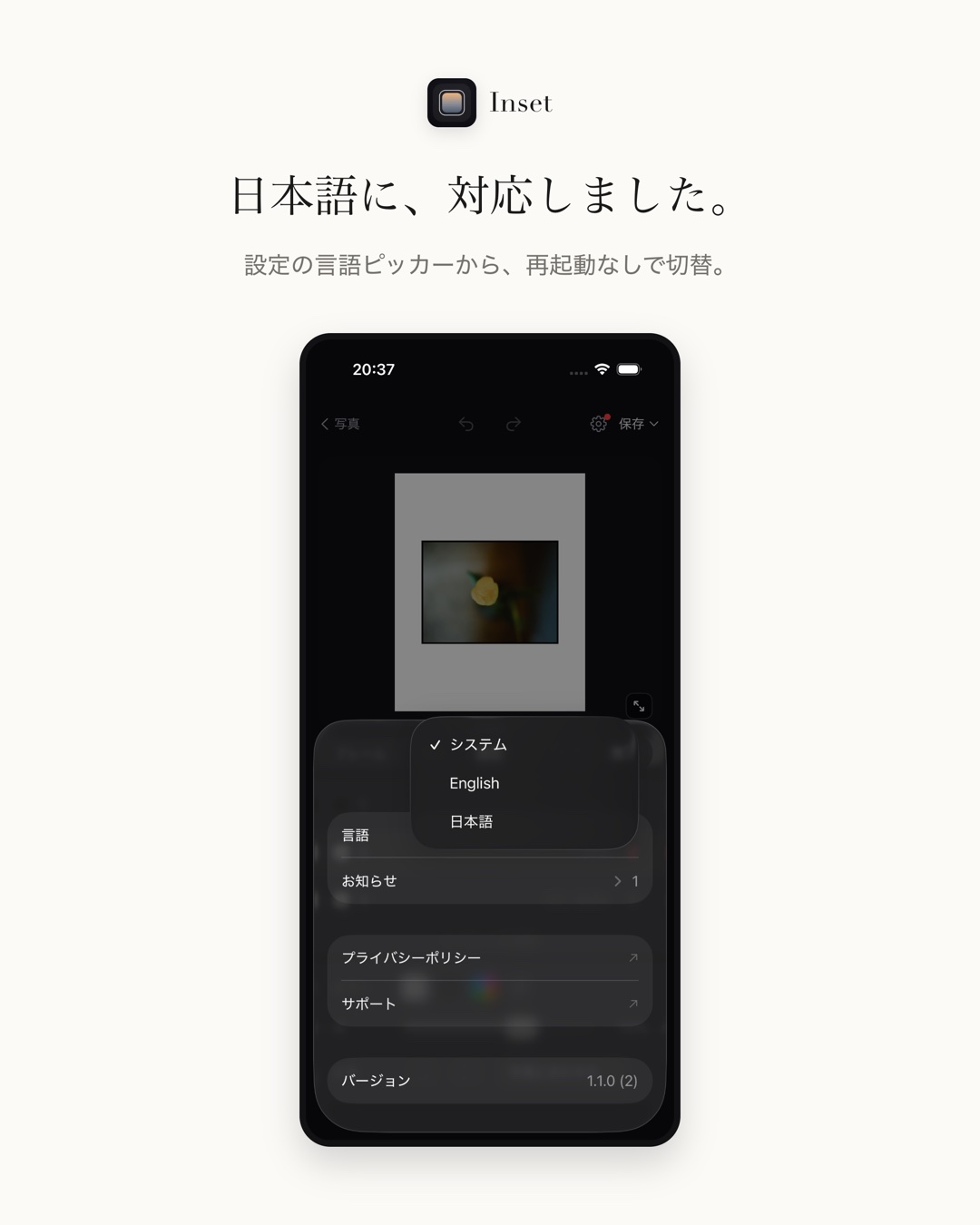 Inset 1.1.0 1